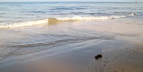 Beach, Wave and Seaweed II
