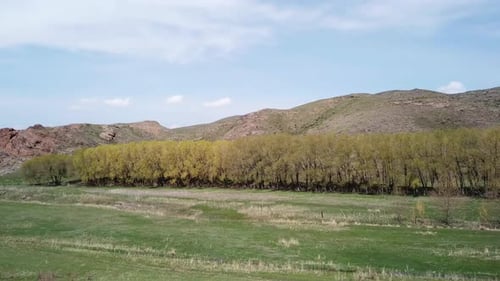 A Small Green Oasis in a Gorge Among the Steppes
