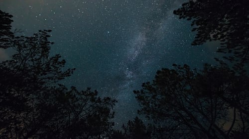 Time-lapse. Milky way in the starry sky in the night forest