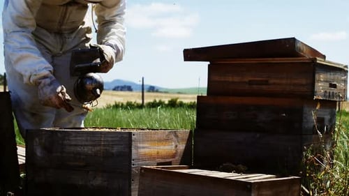 Beekeeper Tending Hive in Rural Meadow on Sunny Day