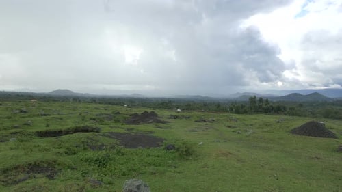 Pasture with rocks