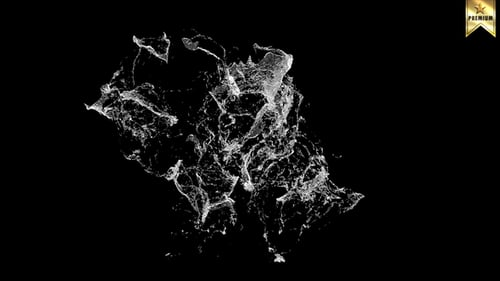 Dynamic Water Splash Transition Effect