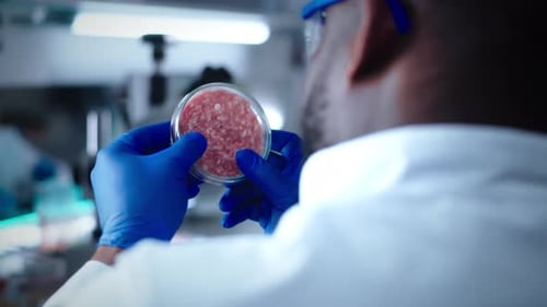 Scientist Examining Petri Dish with Pink Sample