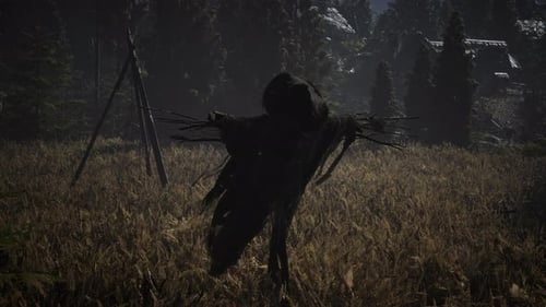 Scarecrow on the Old Village Field