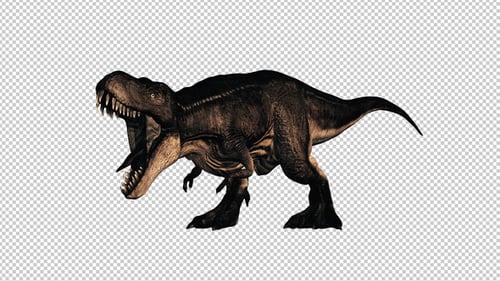T Rex
