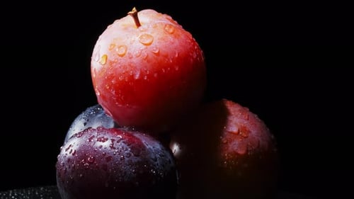 Wet Plums Stacked on Black Background