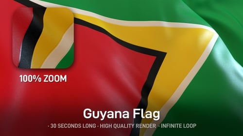 Waving Flag of Guyana Seamless Loop