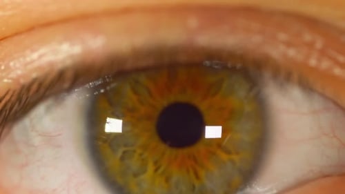 Detailed Macro View of a Human Eye