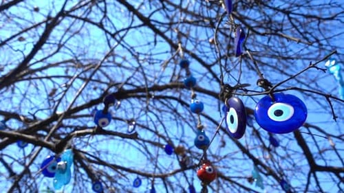 Evil Eye Charms Hanging on Leafless Tree Branches
