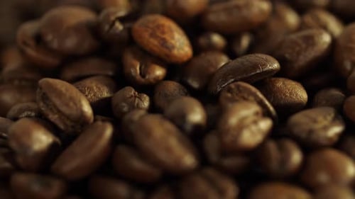Coffee Beans Falling