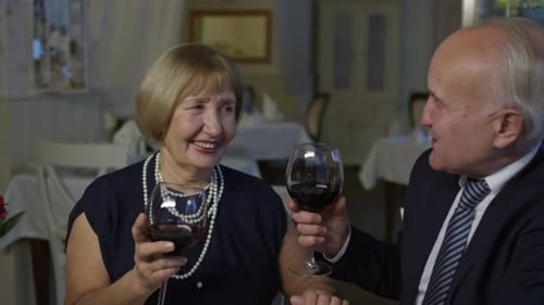 Elegant Senior Couple Celebrates Anniversary with Wine