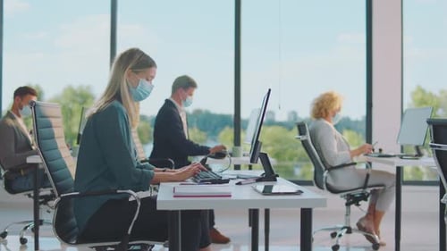 Adults Working at Computers in Modern Office