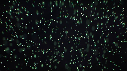 Particules