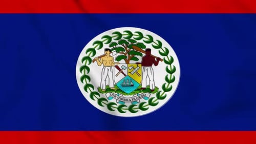 Belize National Flag Waving Seamless Loop Animation