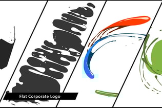 Flat Corporate Logo V04 Liquid
