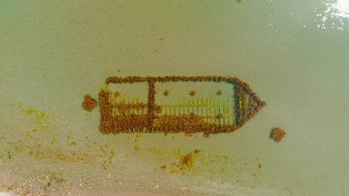 Overgrown sunken ship