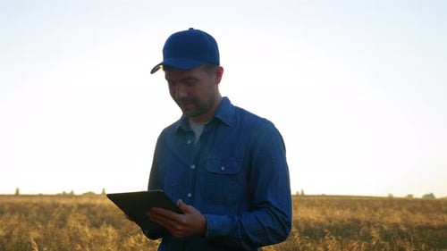 Farmer Businessman Working on Tablet Standing in Middle Wheat Field at Sunrise