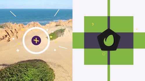 Quick Flat Logo For Premiere Pro