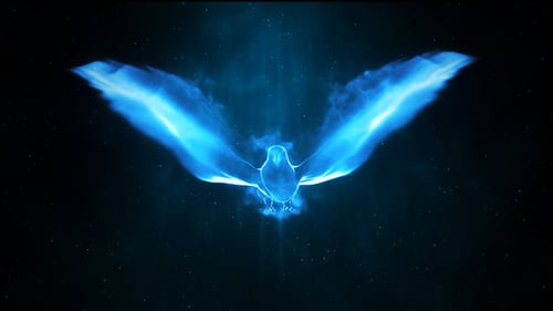 Magic Bird Logo Intro