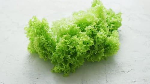 Bunch of Green Lettuce