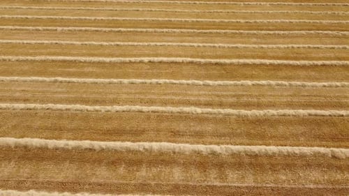 Harvested crop wheat agriculture cultivation field top down aerial view