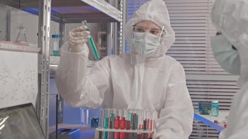 Reagenzgläser sortieren