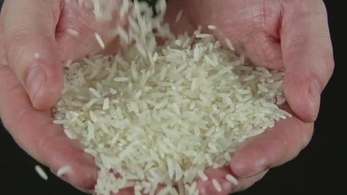 Pouring Rice Into Open Hands, Close Up