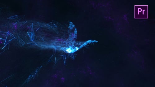 Dynamic Plexus Particle Logo Reveal