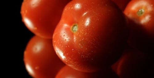 Pile of Red Tomatoes with Water Droplets