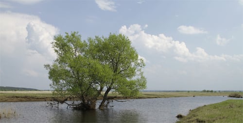 Zeitraffer der Überschwemmungen am Spring River