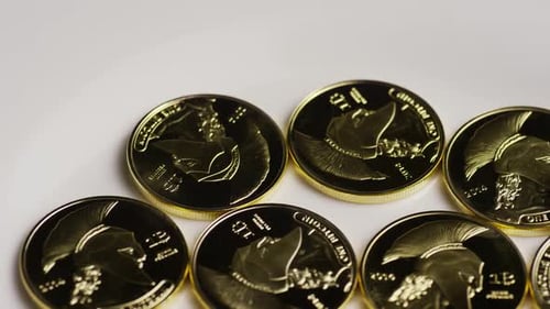 Plan rotatif de Titan Bitcoins (cryptomonnaie numérique) - BITCOIN TITAN