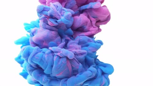 Vibrant Blue and Pink Ink Swirls on White