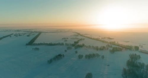 Aerial Drone View of Cold Winter Landscape with Arctic Field Trees Covered with Frost Snow and