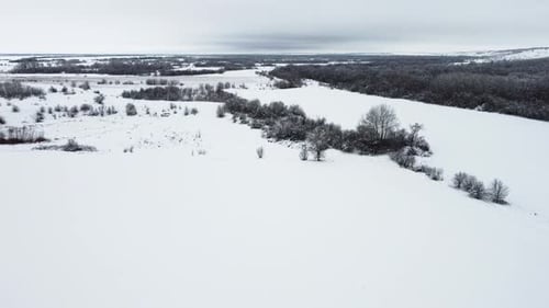 Snow Covered Fields