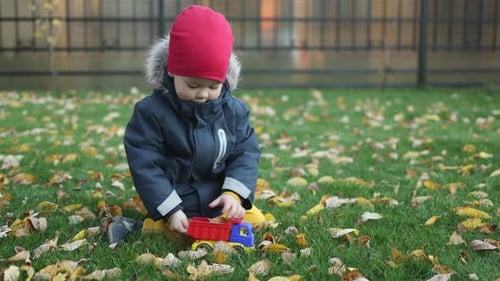 Child Plays with Toy Truck in Autumn Leaves