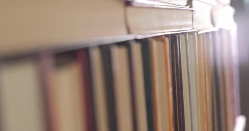 De nombreux livres organisés dans les rayons d'une grande librairie