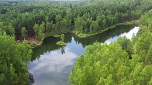 Aerial view of a forest lake with small island.