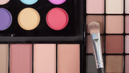 Makeup Palettes with Brush Close Up