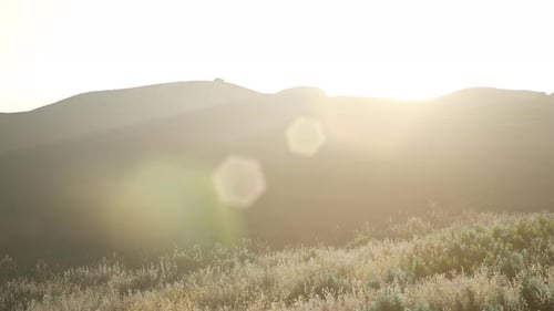 Sunset Over the Valley Fields
