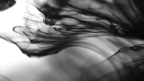 Abstract Black Ink Flowing Across White Background