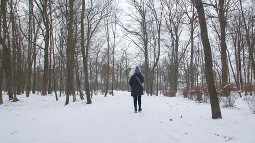 A Woman Walks In The Winter Park