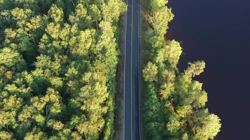 Aerial View From Drone on Asphalt Road at the Forest