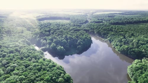 Natürlicher Teich an einem sonnigen Sommertag Waldpanorama
