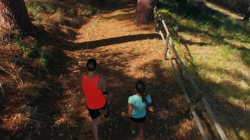 Couple jogging on forest path
