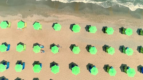 Aerial View Many Umbrellas From the Sun are Standing on a Sandy Beach By the Sea