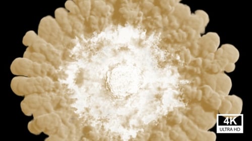 Fluid Powder Explosion Reveal Transition