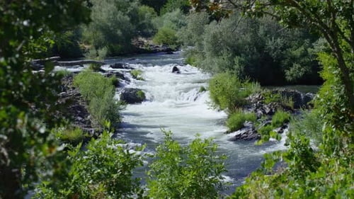 Scenic shot of white water rapids, Rouge River, Oregon, USA
