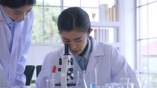 Women Scientists Doing Research in a Lab