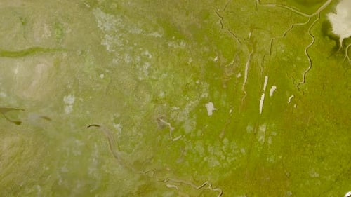 Abstract aerial view of wetlands river Landscape in The Netherlands.