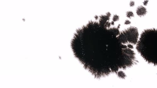 Black Ink Drops On White Background